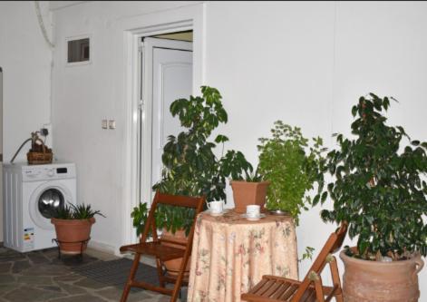 Zoe'S Apartment Bright&Cozy Athen Eksteriør bilde