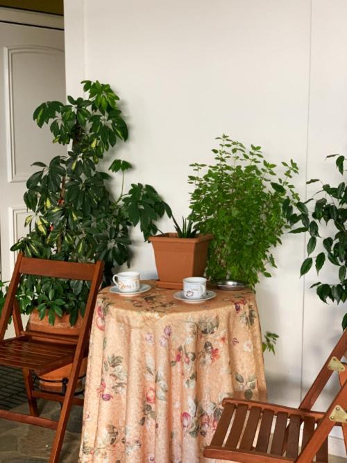 Zoe'S Apartment Bright&Cozy Athen Eksteriør bilde