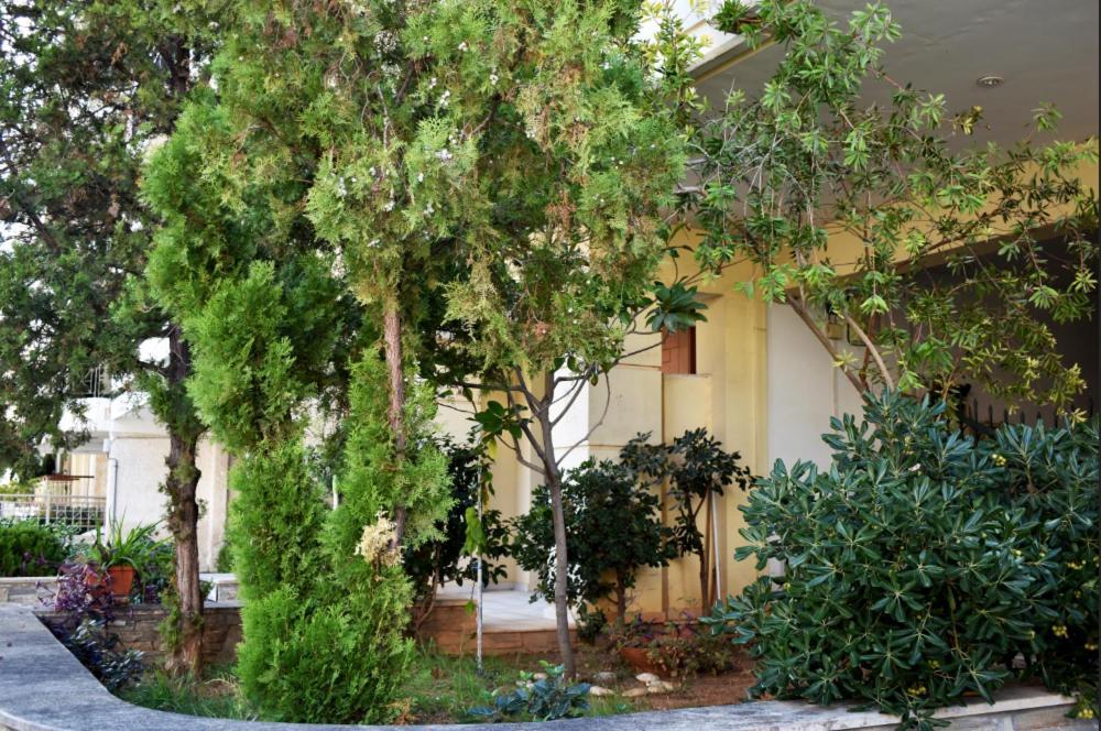 Zoe'S Apartment Bright&Cozy Athen Eksteriør bilde